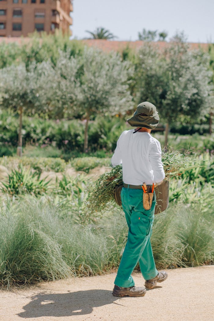 A gardener walks in a lush park carrying freshly cut plants, showcasing outdoor horticulture.